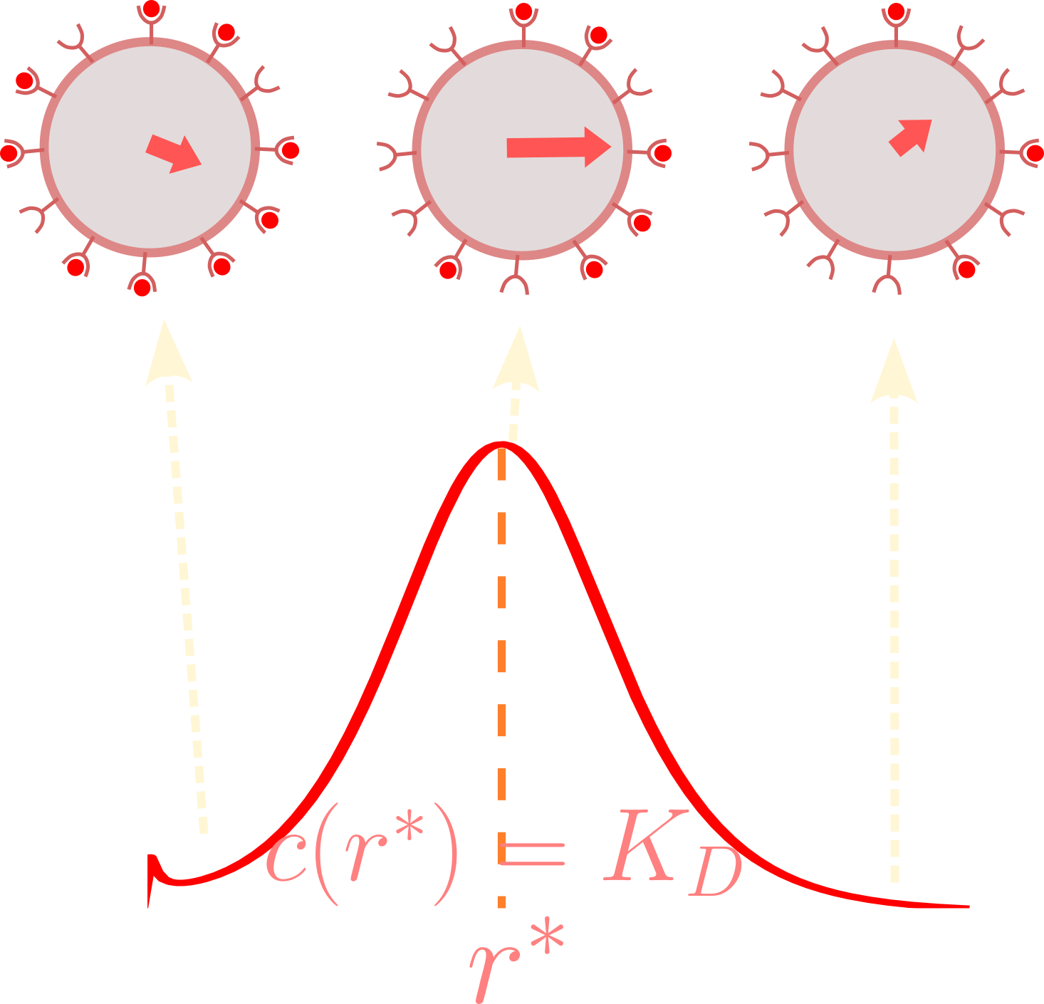 The signal-to-noise ratio (SNR) is non-monotonic with chemoattractant concentrations
